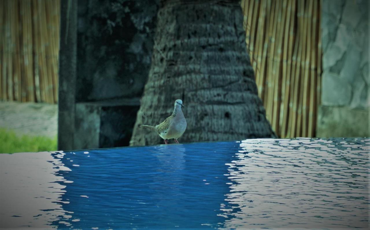 Bali Bhuana Beach Cottages Amed Eksteriør bilde